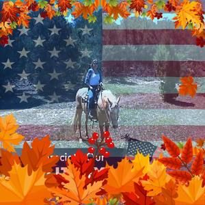 Meet your Posher, Dawn